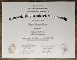 Cal Poly San Luis Obispo transcript