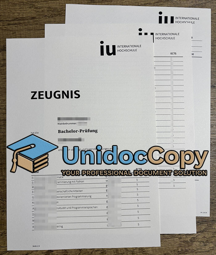 IU Internationale Hochschule Urkunde