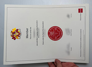 ACCA degree