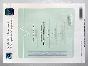 AM2 Assessment of Occupational certificate