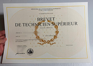 Get a Brevet de Technicien Supérieur diploma online