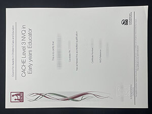CACHE Level 3 NVQ diploma