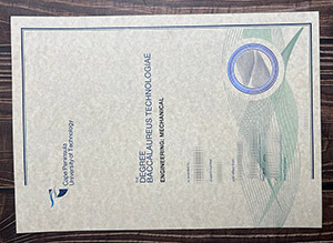 Cape Peninsula University of Technology certificate