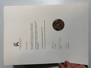 Chartered Accountant diploma