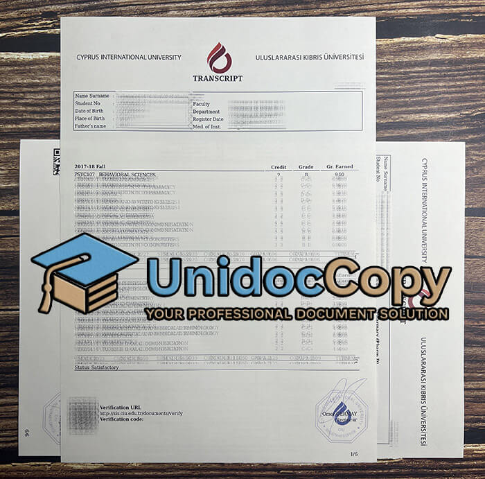 Cyprus International University diploma