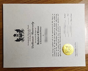 Purchase Dalhousie University diploma online