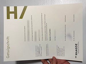 Get a De Haagse Hogeschool diploma online