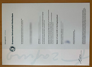 Erasmus Universiteit Rotterdam degree