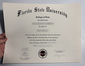 Florida State University certificate