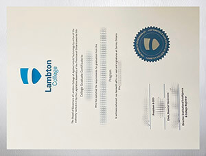 Get a Lambton College degree online