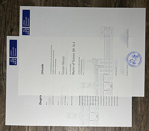 Get Leibniz Universität Hannover diploma