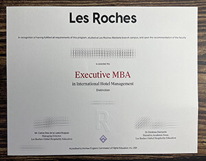 Replica a Les Roches certificate online