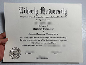 Liberty University degree