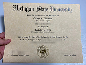 Get a Michigan State University certificate