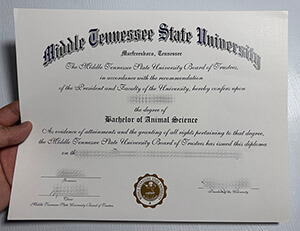Middle Tennessee State University diploma