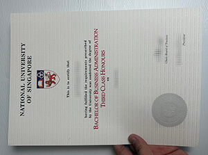 National University of Singapore degree