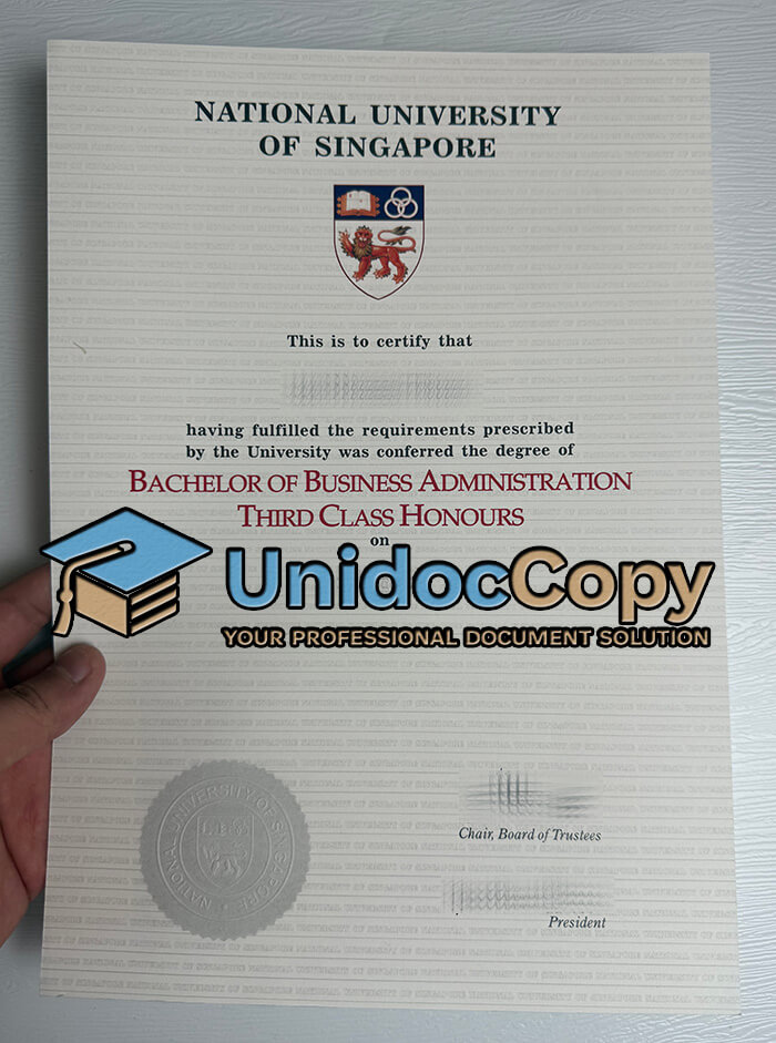 National University of Singapore diploma