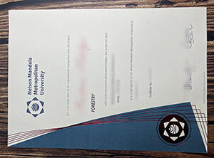 Get Nelson Mandela Metropolitan University diploma