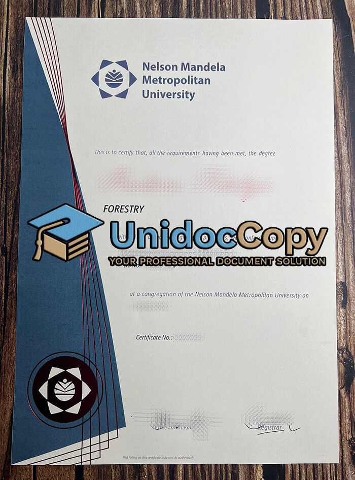 Nelson Mandela Metropolitan University diploma