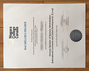 Get a Niagara College diploma online