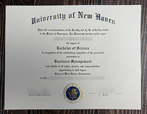 University of New Haven certificate