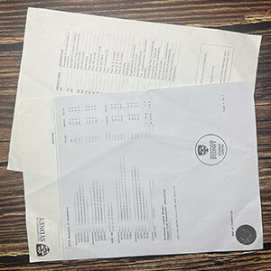 University of Sydney transcript