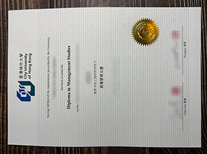 City University of Hong Kong degree