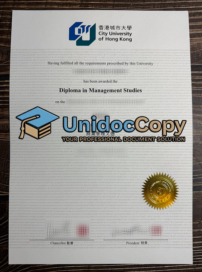 City University of Hong Kong degree