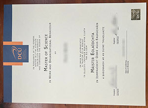 Dublin City University certificate