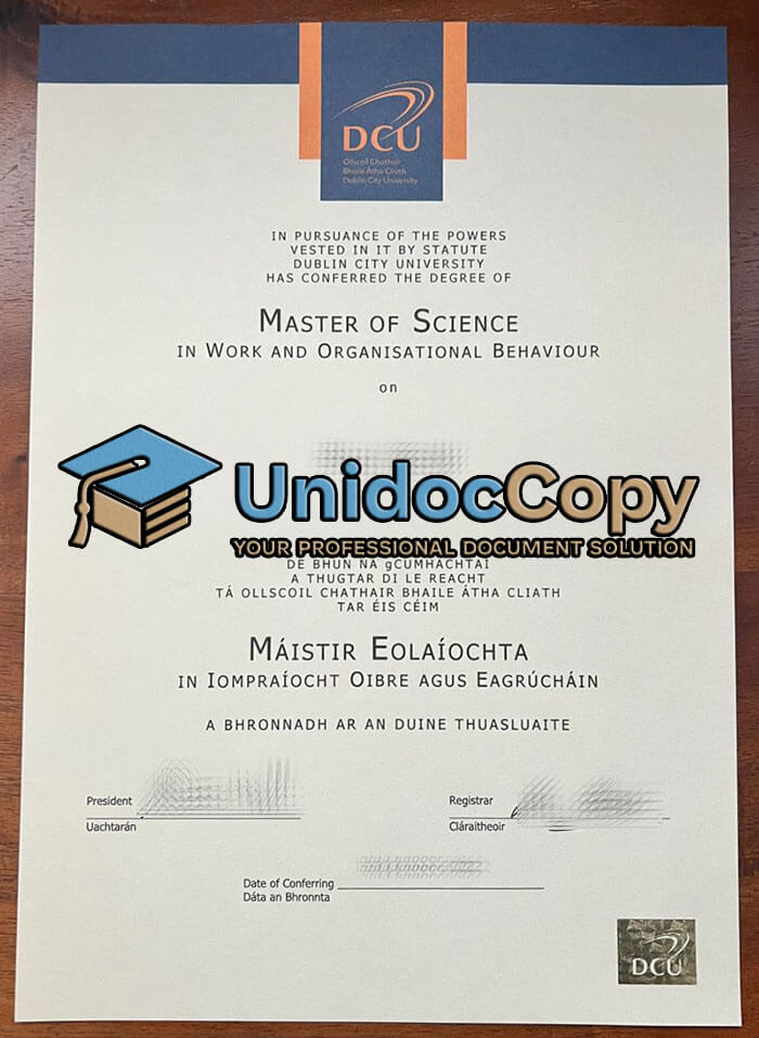 Dublin City University degree