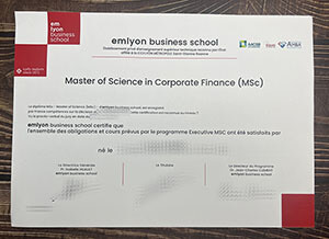 Replica Emlyon Business School diploma