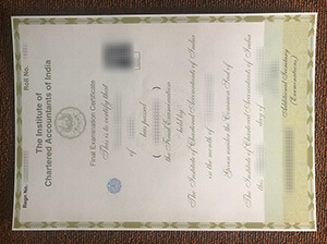 Final Examination certificates