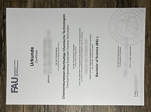 Friedrich-Alexander Universität certificate