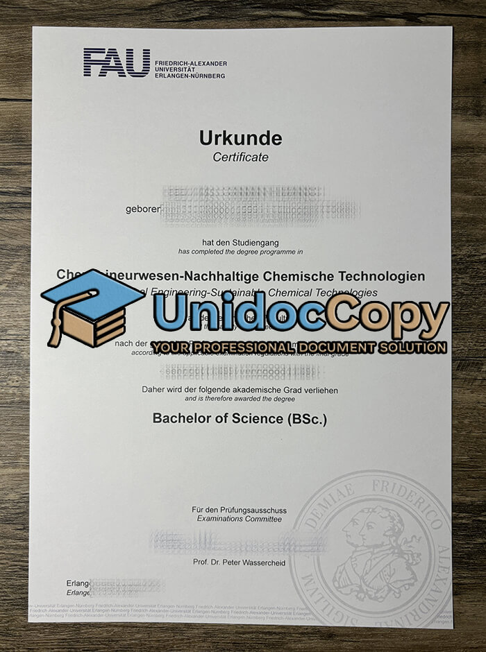 Friedrich-Alexander Universität certificate