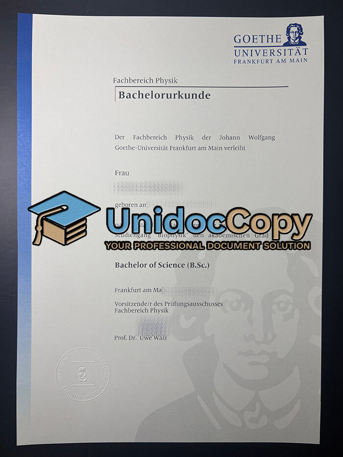 Goethe Universität Frankfurt am Main diploma