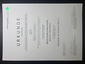 Hochschule Fulda University of Applied Sciences Urkunde