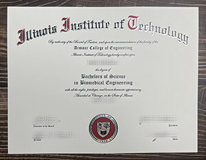 Illinois Institute of Technology degree