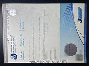 Obtain International Baccalaureate degree online