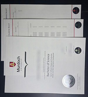 Murdoch University transcript