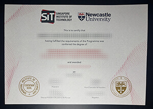 Newcastle University diploma