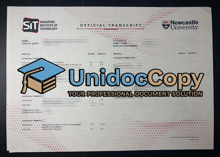 Newcastle University transcript