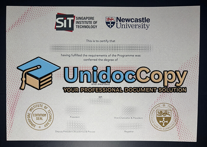 Newcastle University certificate