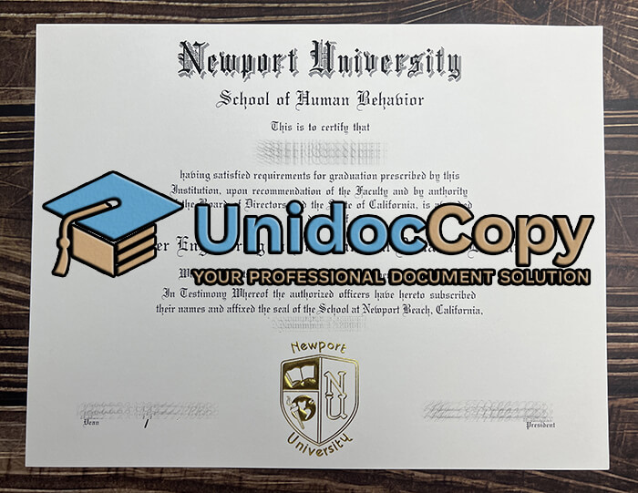 Newport University degree