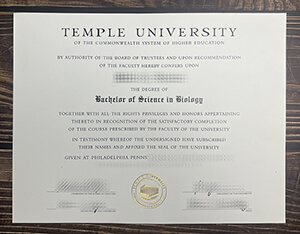 Temple University degree