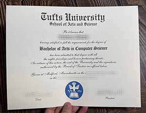 Tufts University degree