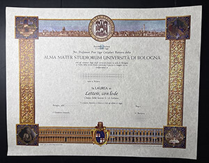 Università Di Bologna diploma