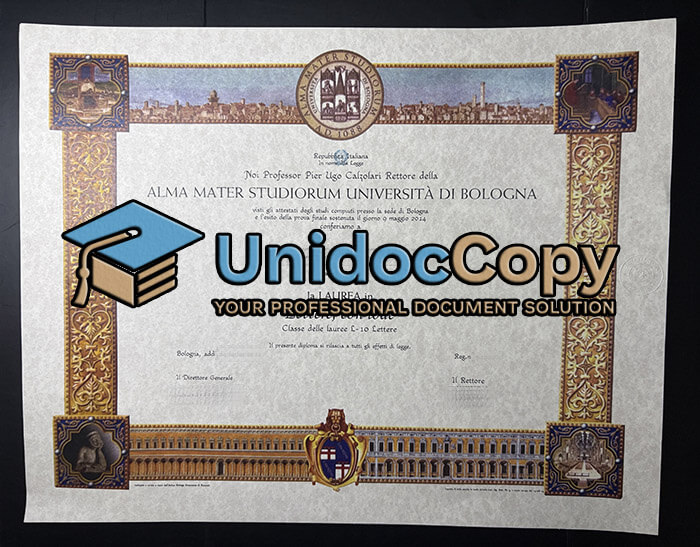 Università Di Bologna diploma