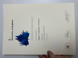 University of Brighton diploma