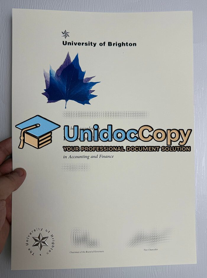 University of Brighton degree