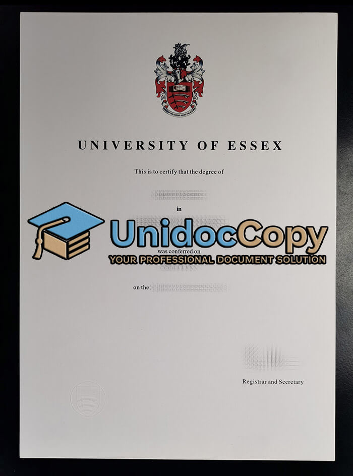Realistic University of Essex degree